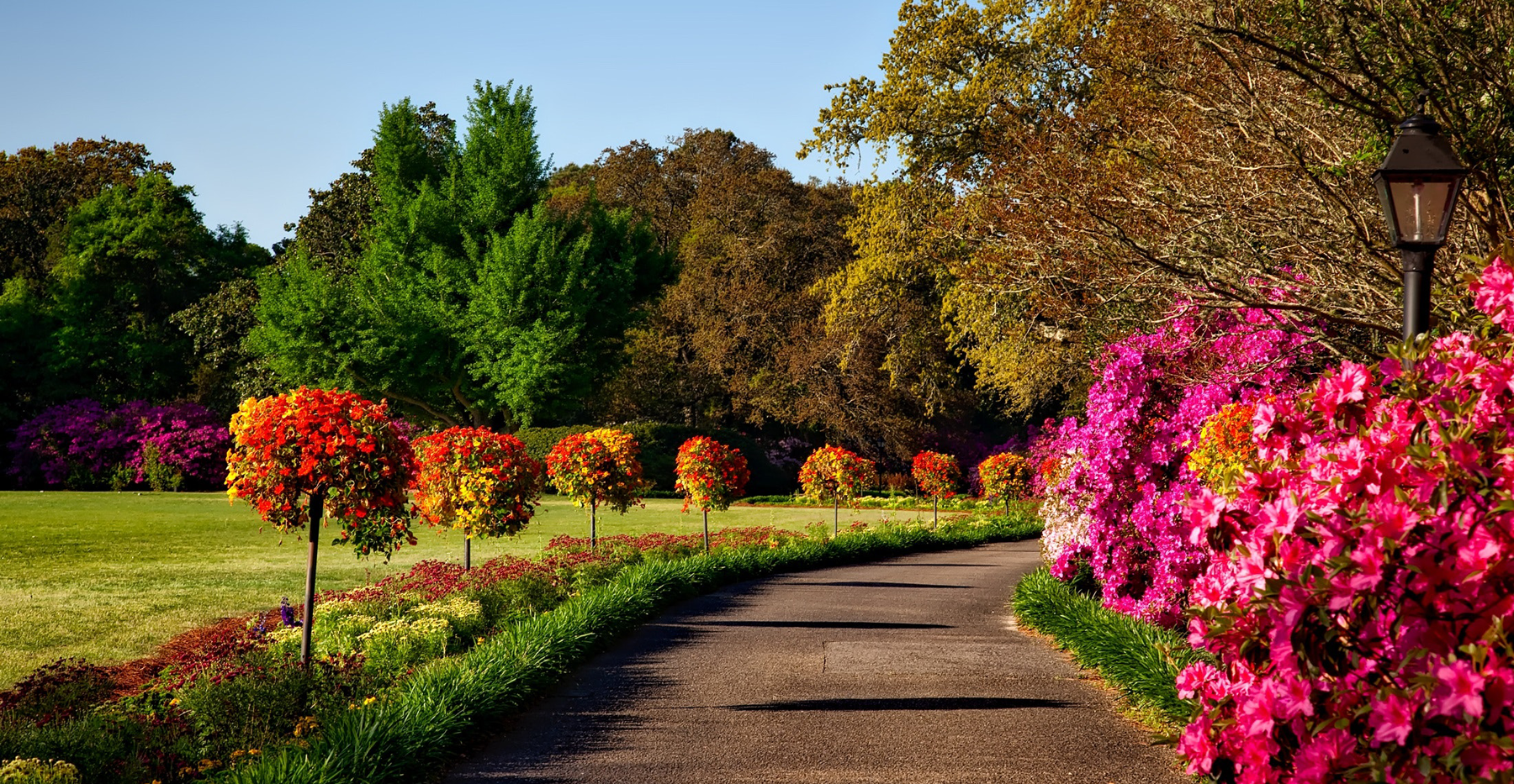 Landscape Design