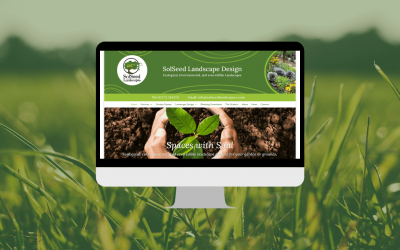 New Year, New Website, New Focus