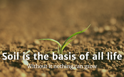 Soil is the basis of all life; without it nothing can grow