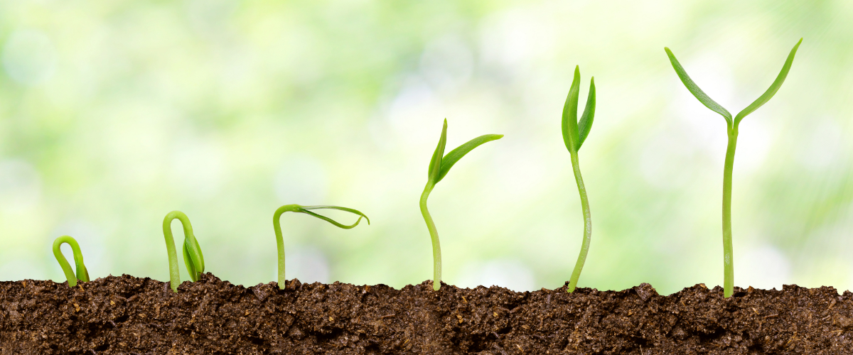 Soil Science