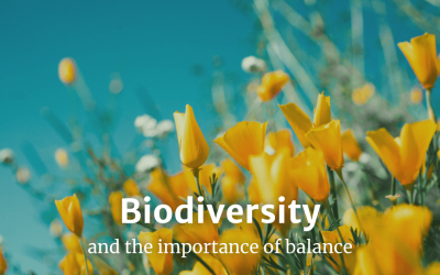 Biodiversity and the importance of balance