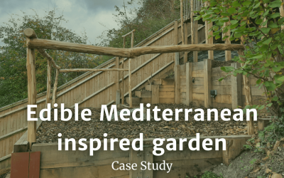 Case Study – Edible Mediterranean inspired garden